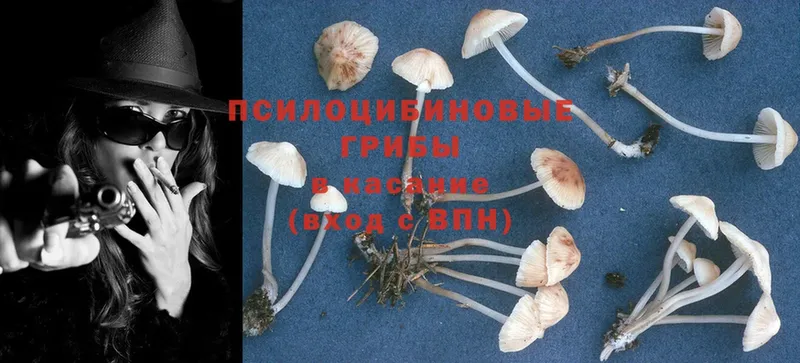 Галлюциногенные грибы Magic Shrooms  МЕГА маркетплейс  Вельск  где продают  